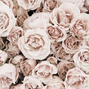 Meet your Posher, Izzy